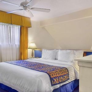 One-Bedroom King Suite